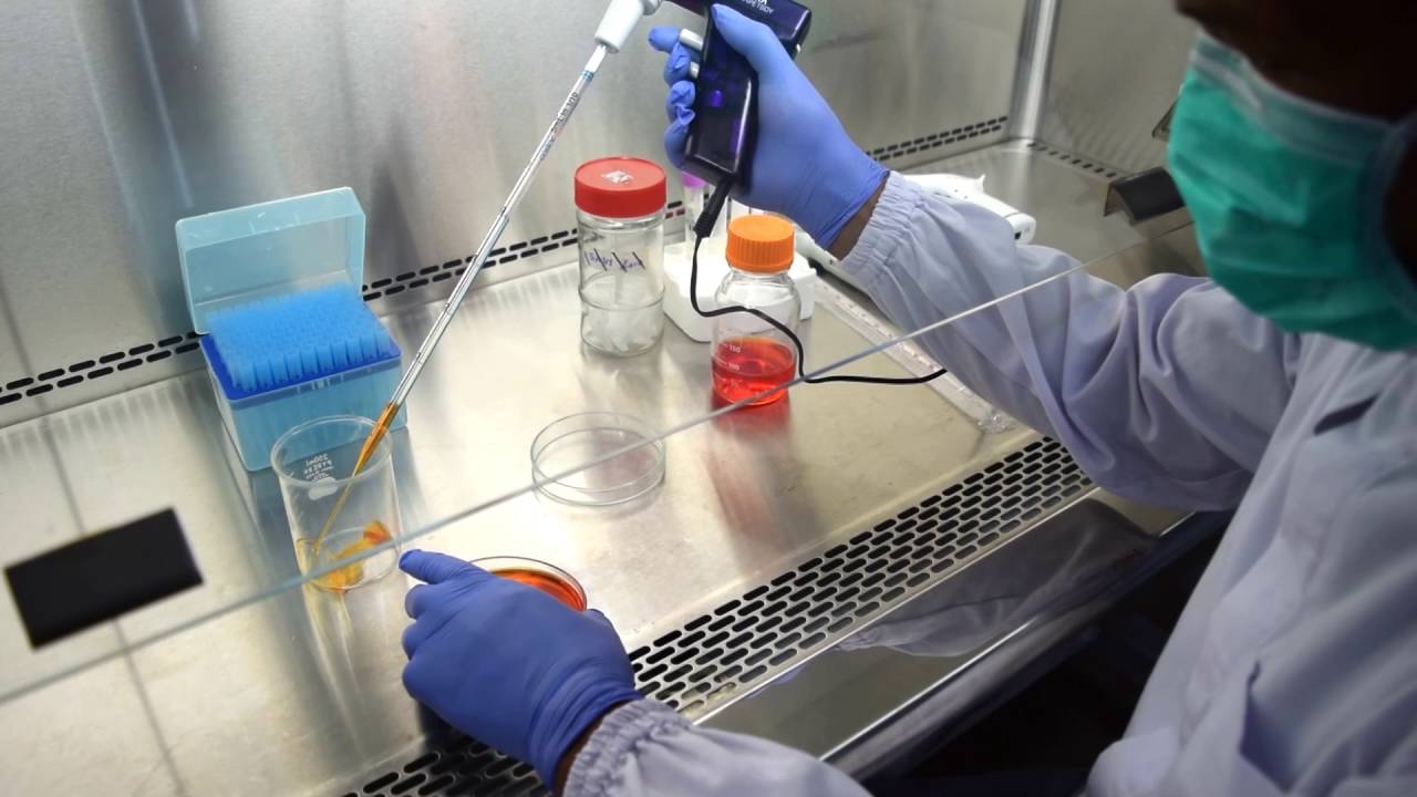 Bukan Hanya Anime, Ini Kisah Lengkap Mahasiswa Kedokteran UGM yang Kuliah Gratis